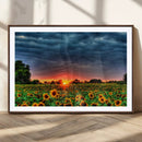 Golden Sunflower Field at Sunset – Breathtaking Sky and