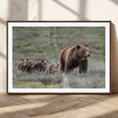 Wildlife Photography of 399 Grizzly Bear Cubs | Queen of the by MyGreatCanvas | Canvas Wall Art Prints | Photo Prints & Wall Decor