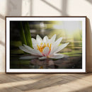 Lotus Flower Wall Art Canvas Print, Water Lily Large Wall
