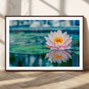 Lotus Flower Wall Art Canvas Print, Water Lily Large Wall