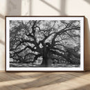 Ancient Oak Wall Art Canvas Print – Gnarled Tree Twisted by MyGreatCanvas | Canvas Wall Art Prints | Photo Prints & Wall Decor