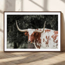 Texas Longhorn Wall Art Canvas Print – Framed Spotted Bull