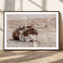 Texas Longhorn Wall Art Canvas Print – Framed Resting Bull by MyGreatCanvas | Canvas Wall Art Prints | Photo Prints & Wall Decor