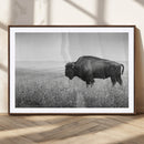 Bison Wall Art Canvas Print – Framed Rustic Wildlife Scene by MyGreatCanvas | Canvas Wall Art Prints | Photo Prints & Wall Decor