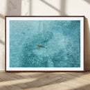 Fish Swarm Wall Art Canvas Print – Framed Aerial Shark and by MyGreatCanvas | Canvas Wall Art Prints | Photo Prints & Wall Decor