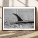 Black White Surfboard Wall Art Canvas Print – Framed by MyGreatCanvas | Canvas Wall Art Prints | Photo Prints & Wall Decor