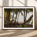Tropical Jungle Wall Art Canvas Print – Framed Palm Tree by MyGreatCanvas | Canvas Wall Art Prints | Photo Prints & Wall Decor