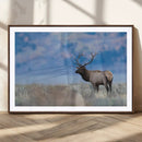 Elk Wall Decor Canvas Print – Framed Rustic Wildlife Art by MyGreatCanvas | Canvas Wall Art Prints | Photo Prints & Wall Decor