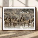Elk Herd Scene Wall Art Canvas Print – Framed Rustic by MyGreatCanvas | Canvas Wall Art Prints | Photo Prints & Wall Decor