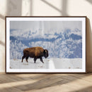 Bison Snow Wall Art Canvas Print – Framed Wildlife Scene by MyGreatCanvas | Canvas Wall Art Prints | Photo Prints & Wall Decor