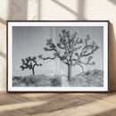 Joshua Tree Wall Art Canvas Print – Black and White Desert by MyGreatCanvas | Canvas Wall Art Prints | Photo Prints & Wall Decor