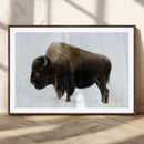 Bison Wall Art Canvas Print – Framed Western Wildlife by MyGreatCanvas | Canvas Wall Art Prints | Photo Prints & Wall Decor