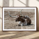 Texas Longhorn Wall Art Canvas Print – Framed Country Living