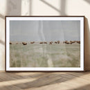 Bison Herd Wall Art Canvas Print – Framed Western Bison