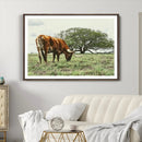 Texas Longhorn Wall Art Canvas Print – Rustic Western Ranch by MyGreatCanvas | Canvas Wall Art Prints | Photo Prints & Wall Decor
