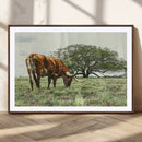 Texas Longhorn Wall Art Canvas Print – Framed Rustic Ranch by MyGreatCanvas | Canvas Wall Art Prints | Photo Prints & Wall Decor