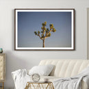 Joshua Tree Wall Art Canvas Print – Framed Southwestern