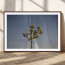 Joshua Tree Wall Art Canvas Print – Framed Southwestern by MyGreatCanvas | Canvas Wall Art Prints | Photo Prints & Wall Decor