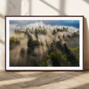 Tranquil Forest Wall Art Canvas Print – Framed Sunbeam by MyGreatCanvas | Canvas Wall Art Prints | Photo Prints & Wall Decor