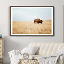Buffalo Wall Art Canvas Print – Framed Western Wildlife