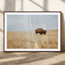 Buffalo Wall Art Canvas Print – Framed Western Wildlife by MyGreatCanvas | Canvas Wall Art Prints | Photo Prints & Wall Decor