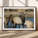 Wild Elk Wall Art Canvas Print – Framed Neutral Wildlife by MyGreatCanvas | Canvas Wall Art Prints | Photo Prints & Wall Decor