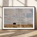 American Wild Bison Wall Art Canvas Print – Framed Rustic by MyGreatCanvas | Canvas Wall Art Prints | Photo Prints & Wall Decor