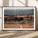 Western Framed Bison Wall Art Canvas Print by MyGreatCanvas | Canvas Wall Art Prints | Photo Prints & Wall Decor