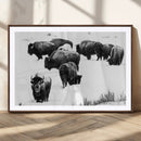 Buffalo Herd Wall Art Canvas Print – Framed Black and White by MyGreatCanvas | Canvas Wall Art Prints | Photo Prints & Wall Decor