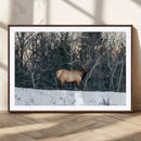 Wild Elk Wall Art Canvas Print – Framed Winter Wildlife by MyGreatCanvas | Canvas Wall Art Prints | Photo Prints & Wall Decor