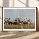 Elk Herd Wall Art Canvas Print – Framed Wildlife Photography by MyGreatCanvas | Canvas Wall Art Prints | Photo Prints & Wall Decor