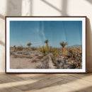 Joshua Tree Wall Art Canvas Print – Framed Desert Landscape by MyGreatCanvas | Canvas Wall Art Prints | Photo Prints & Wall Decor