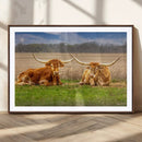 Texas Longhorn Pair Wall Art Canvas Print – Peaceful Rustic by MyGreatCanvas | Canvas Wall Art Prints | Photo Prints & Wall Decor