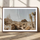 Joshua Tree Desert Landscape Canvas Wall Art – Barren by MyGreatCanvas | Canvas Wall Art Prints | Photo Prints & Wall Decor