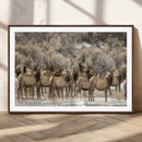 Majestic Elk Herd Winter Canvas, Elk Herd Winter Landscape by MyGreatCanvas | Canvas Wall Art Prints | Photo Prints & Wall Decor