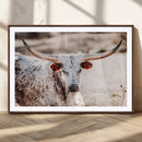 Majestic Texas Longhorn Bull Wall Art Canvas Print – Rustic by MyGreatCanvas | Canvas Wall Art Prints | Photo Prints & Wall Decor