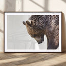 Grizzly Bear Canvas Wall Art Print – Framed Wildlife Nature by MyGreatCanvas | Canvas Wall Art Prints | Photo Prints & Wall Decor