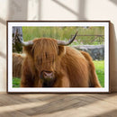 Highland Cow Wall Art, Rustic Farm Animal Canvas Print, Long by MyGreatCanvas | Canvas Wall Art Prints | Photo Prints & Wall Decor