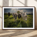Grazing Cattle Herd Pasture Green Field Livestock Natural by MyGreatCanvas | Canvas Wall Art Prints | Photo Prints & Wall Decor