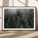 Dense Evergreen Forest Misty Morning Fog Pine Trees Woodland by MyGreatCanvas | Canvas Wall Art Prints | Photo Prints & Wall Decor