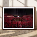 Dooley Stadium Wall Art, Sports Arena Canvas Print, Dooley by MyGreatCanvas | Canvas Wall Art Prints | Photo Prints & Wall Decor