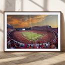 Dooley Stadium Wall Art, Sports Arena Canvas Print, Dooley by MyGreatCanvas | Canvas Wall Art Prints | Photo Prints & Wall Decor