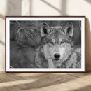 Wild Wolf Blue Eye Wall Art Canvas Print