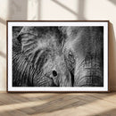 Wild Old Elephant Wall Art Canvas Print by MyGreatCanvas | Canvas Wall Art Prints | Photo Prints & Wall Decor