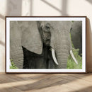Wild Elephant Wall Art Canvas Print by MyGreatCanvas | Canvas Wall Art Prints | Photo Prints & Wall Decor
