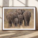 Wild Elephant Wall Art Canvas Print by MyGreatCanvas | Canvas Wall Art Prints | Photo Prints & Wall Decor