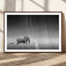 Elephand and Zebra Wall Art Canvas Print, Modern Artwork