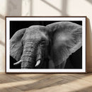Big Elephant Close Up Wall Art Canvas Print