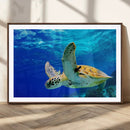 Sea Turtle Wall Art Canvas Print, Sea life in the Ocean Wall