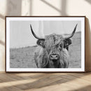 Newfoundland Cow Art Wall Art, Black White Cow Art Wall Art
